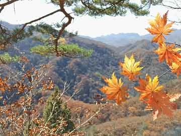 年末感慨：经济波动中的空虚与庆幸