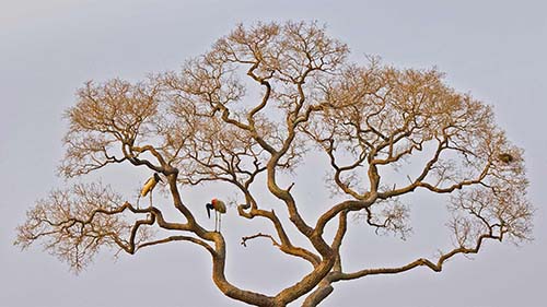 身体才是革命的本钱：珍惜健康，赶走颓废