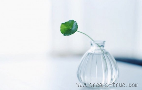 我们如何才能把某件事情做成功？
