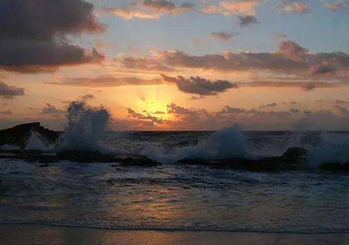 长江后浪推前浪，前浪死在沙滩上~