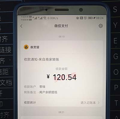 一天必赚100元的游戏（想象不到的快乐） 第3张